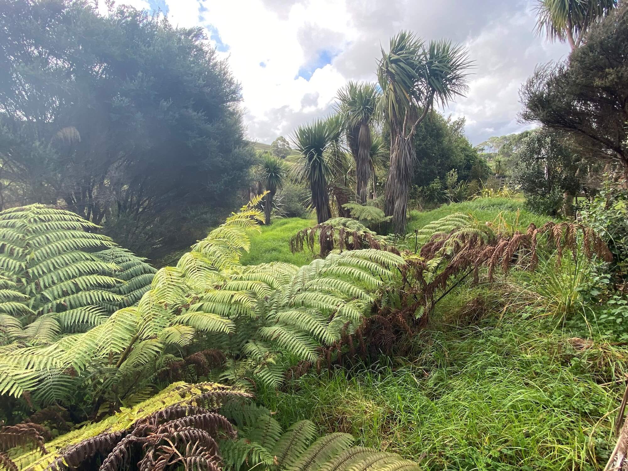 Funding applications